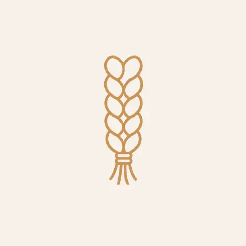 box braids.webp