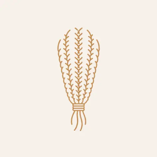cornrows.webp