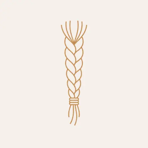 feed in braids.webp
