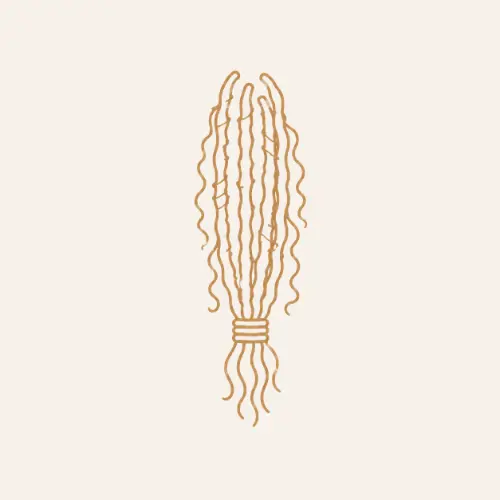 goddess locs.webp