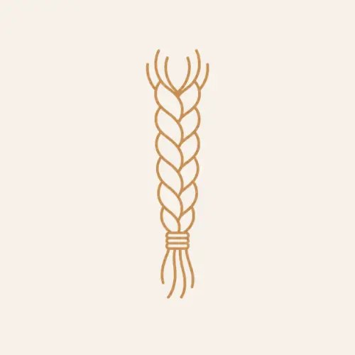 knotless braids.webp